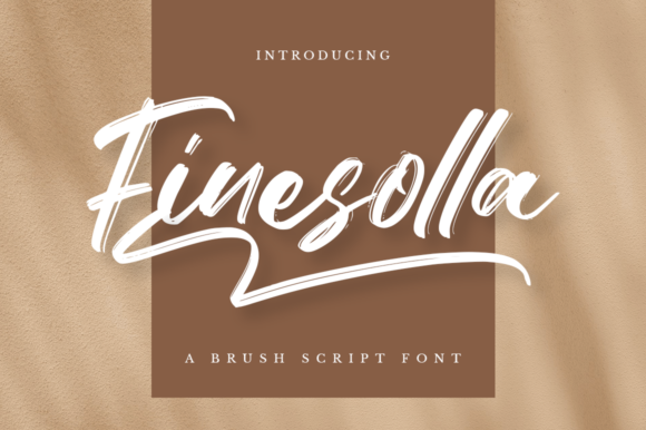 Finesolla: An Elegant Script Font for Small Business Branding
