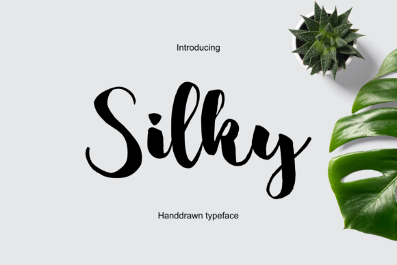 Silky Font for Elegant Brand Identity Design